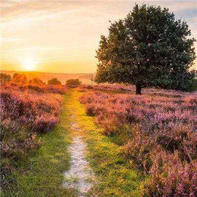 49图库资料免费大全资料澳门